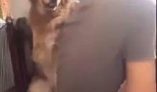 网红狗哥爆料吃瓜事件,揭秘娱乐圈吃瓜大事件！