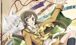 高肉动漫,肉感与艺术的完美融合